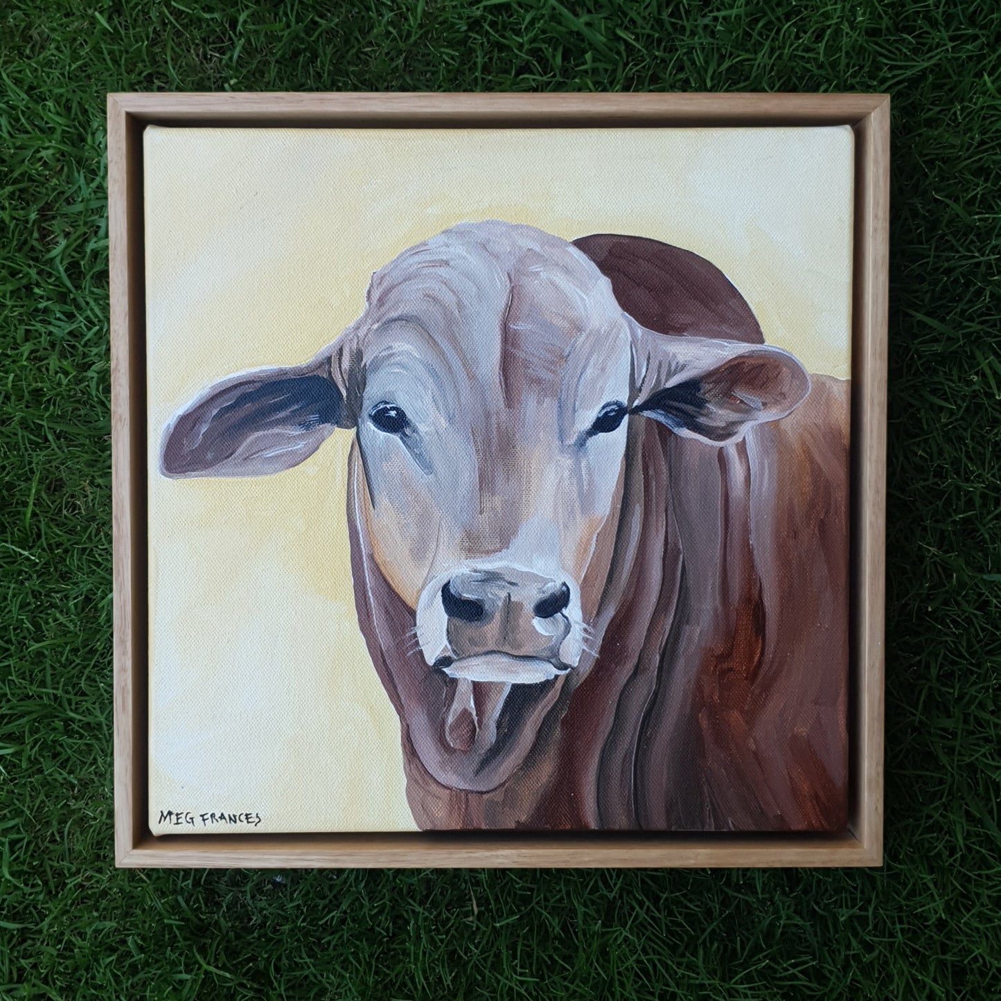 'Staying Put" 33x33cm