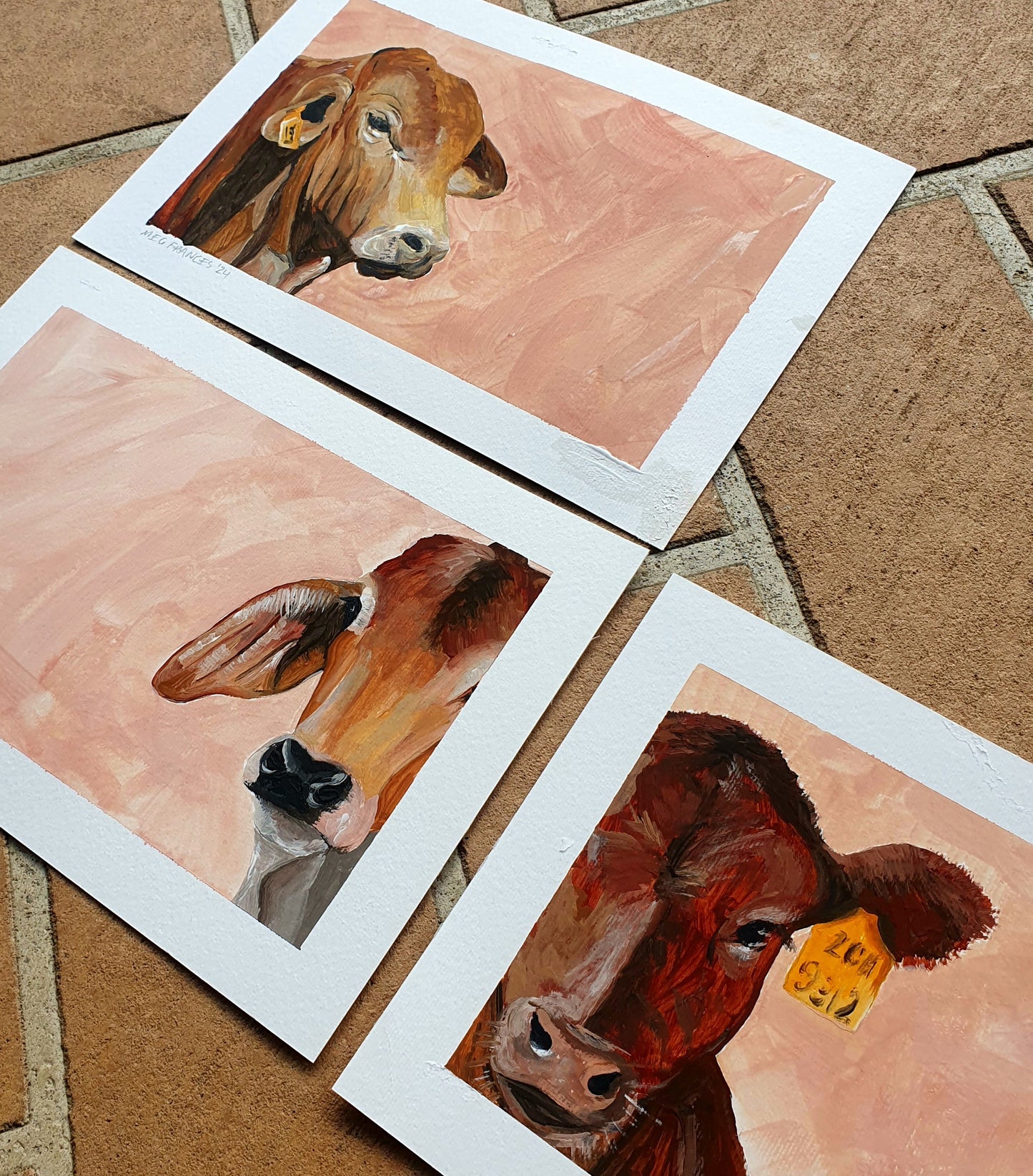 'Brahman Head' Cotton rag paper print