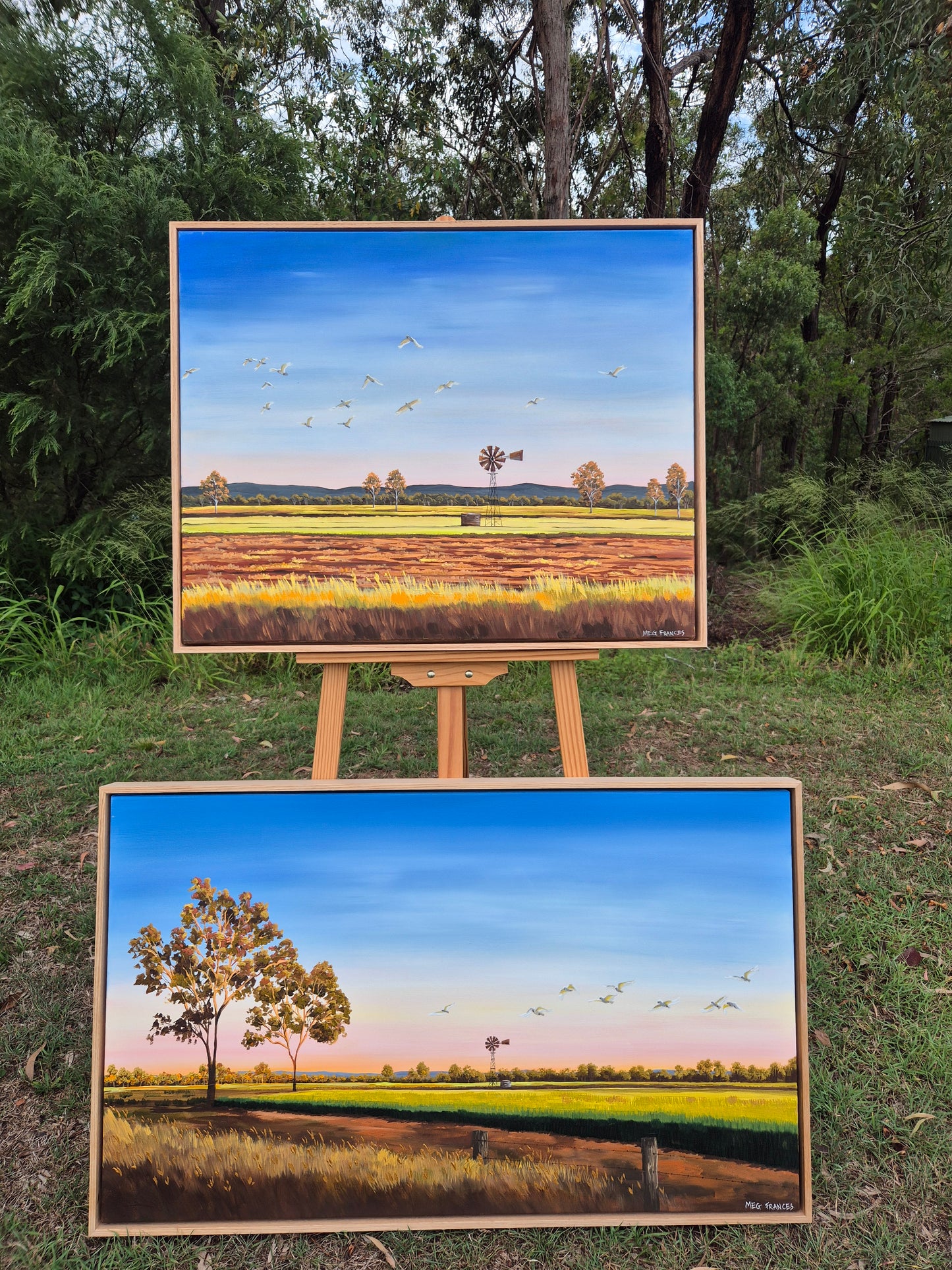 "Taking Flight" 79x64cm