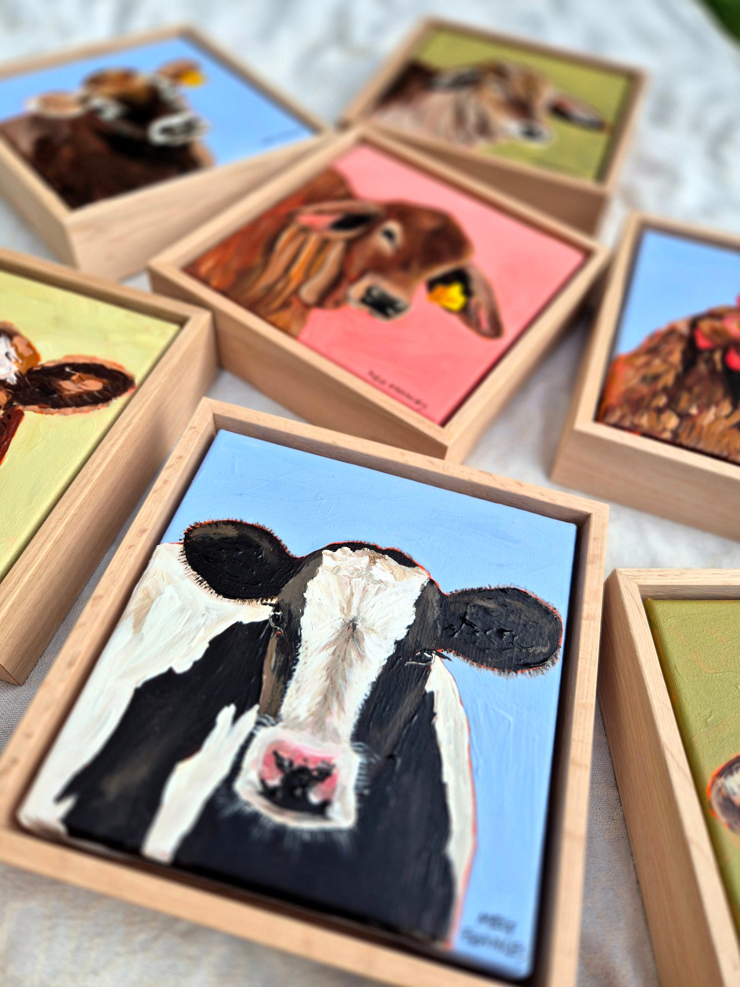 Friesian Calf (23x23cm)