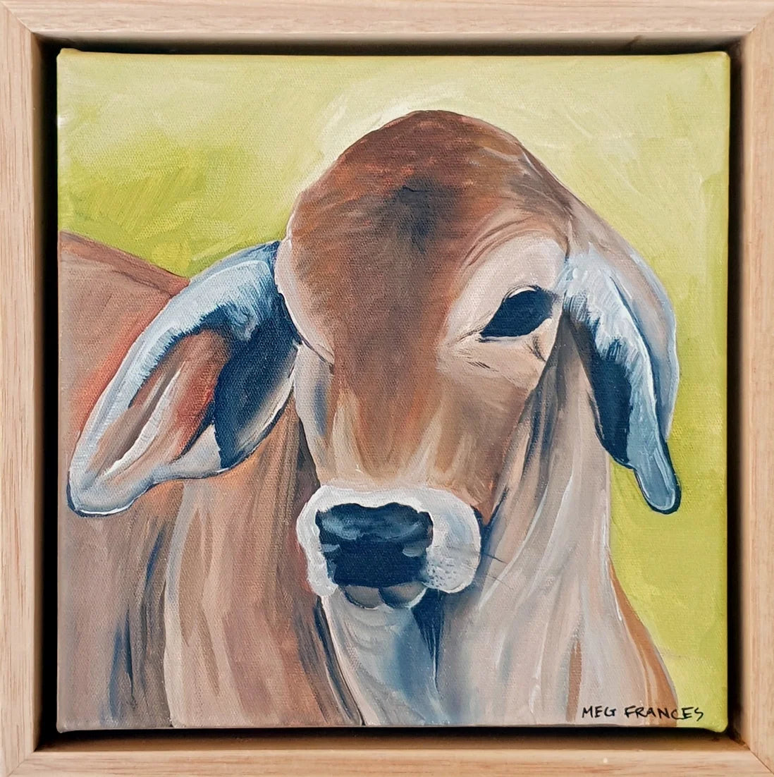 Brahman Calf