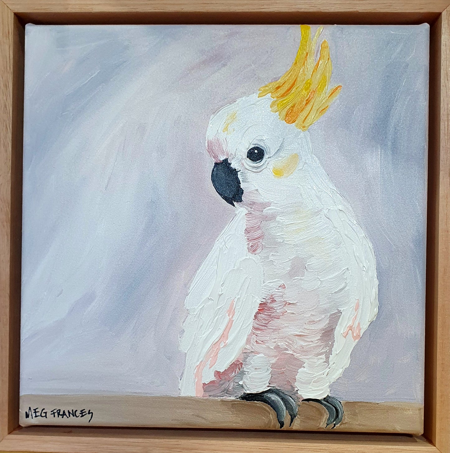 "Sitting Cocky" 28x28cm