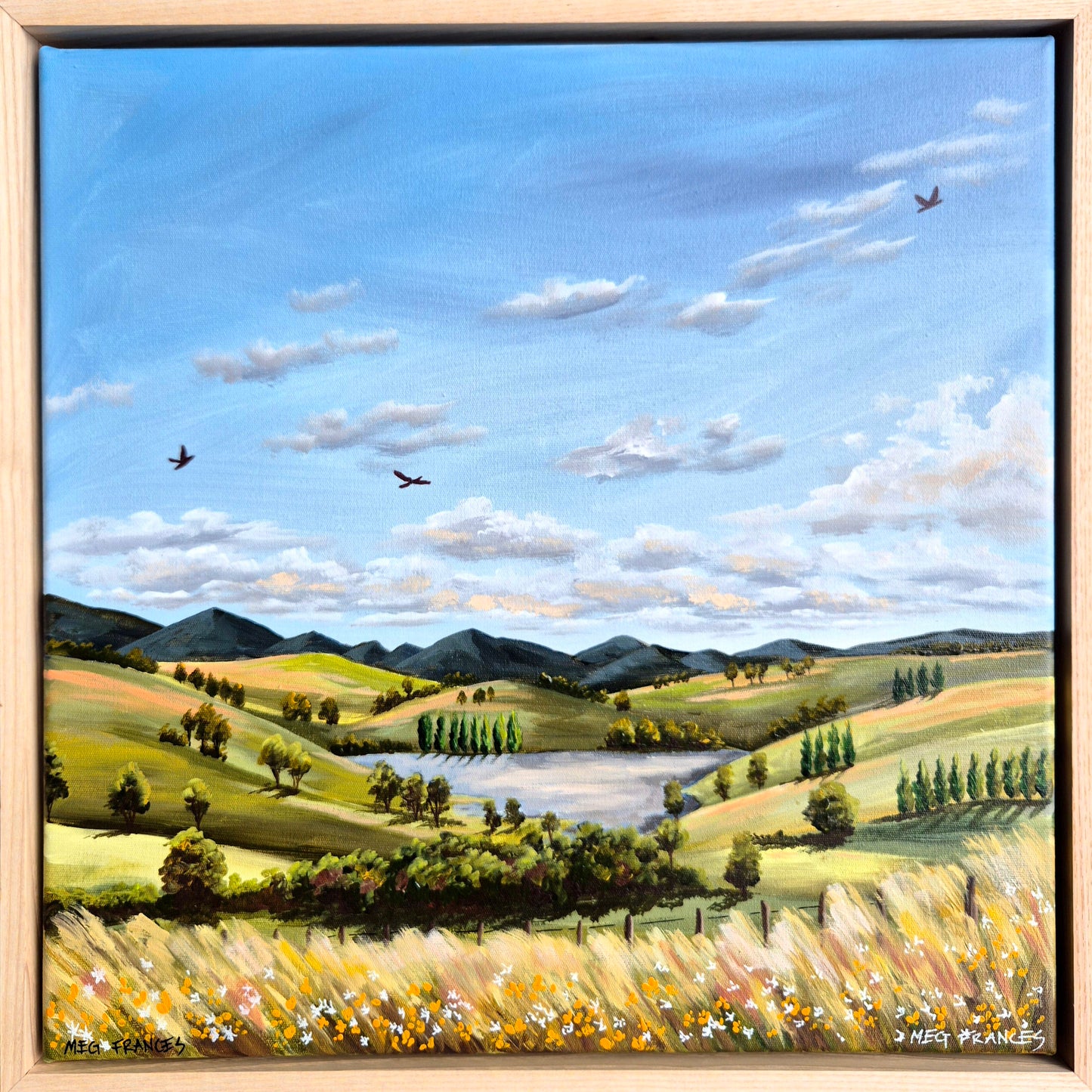 North Coast Farmland TASMANIA 43x43cm