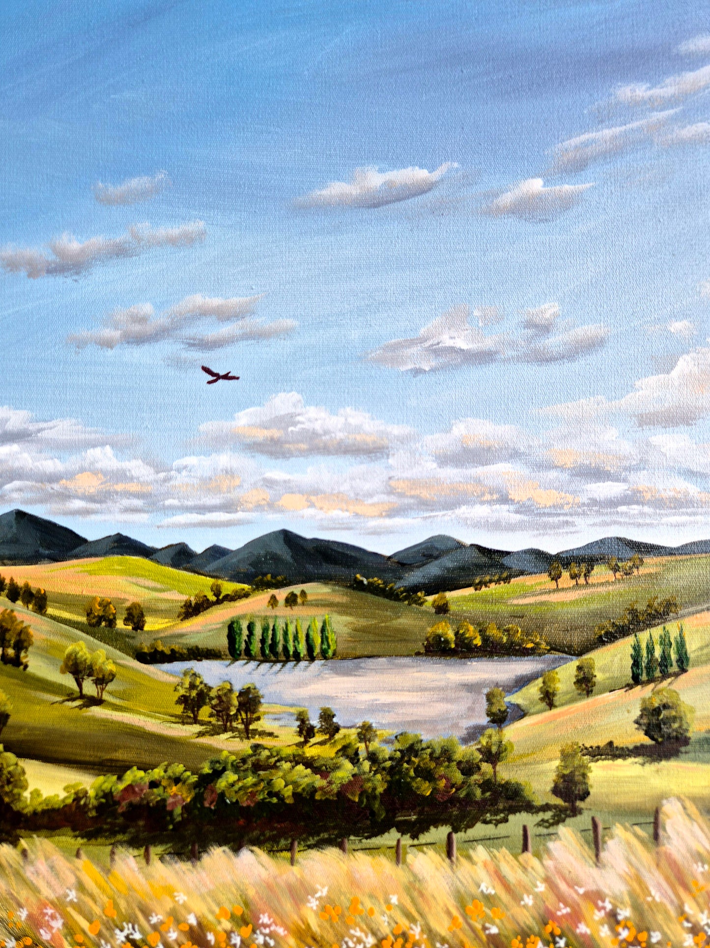 North Coast Farmland TASMANIA 43x43cm