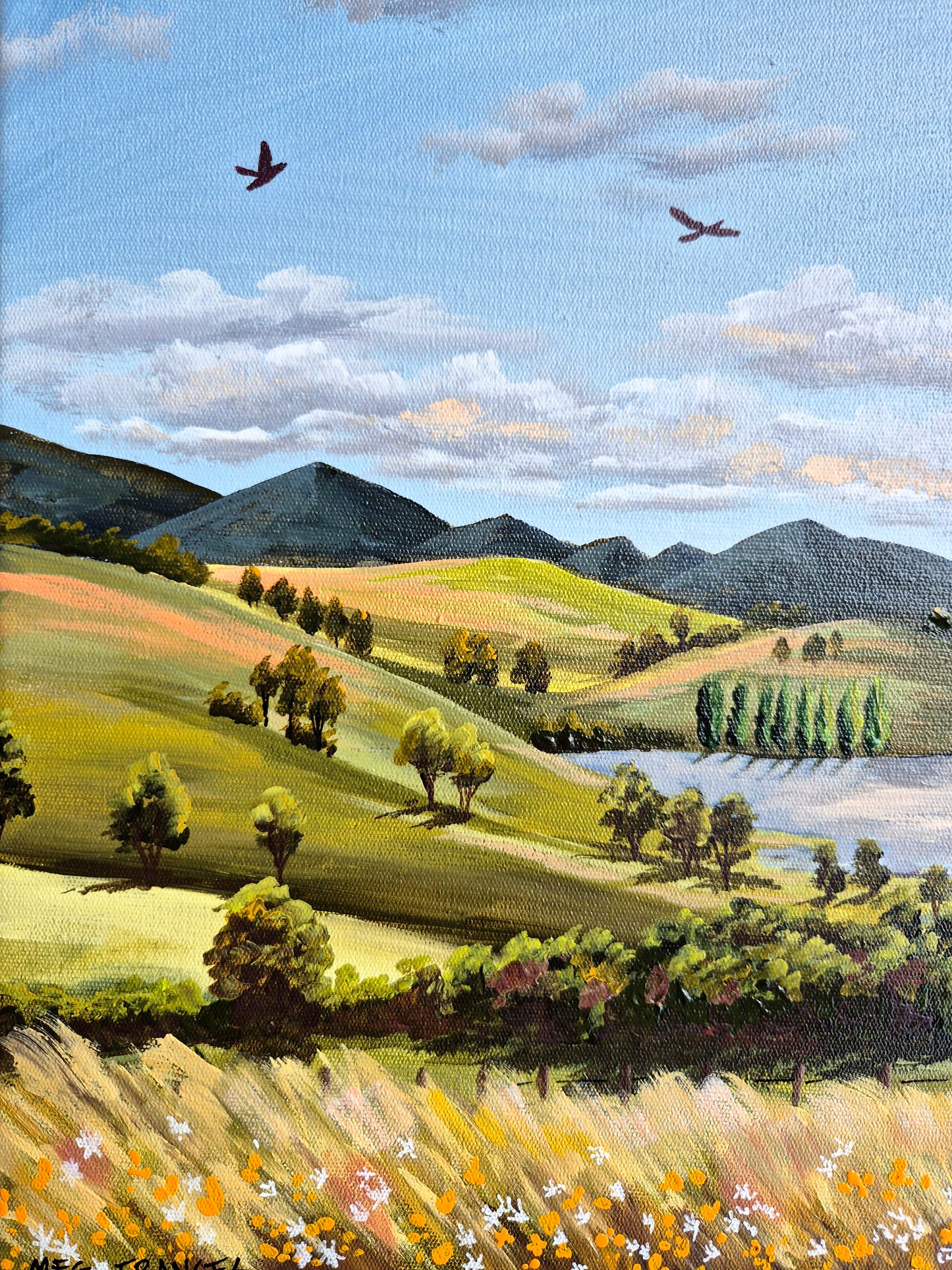 North Coast Farmland TASMANIA 43x43cm