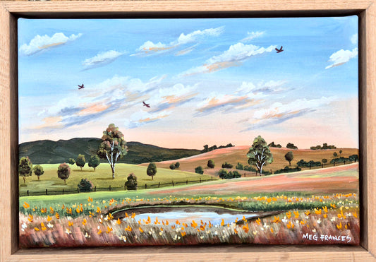 "Driving By" 30x20cm