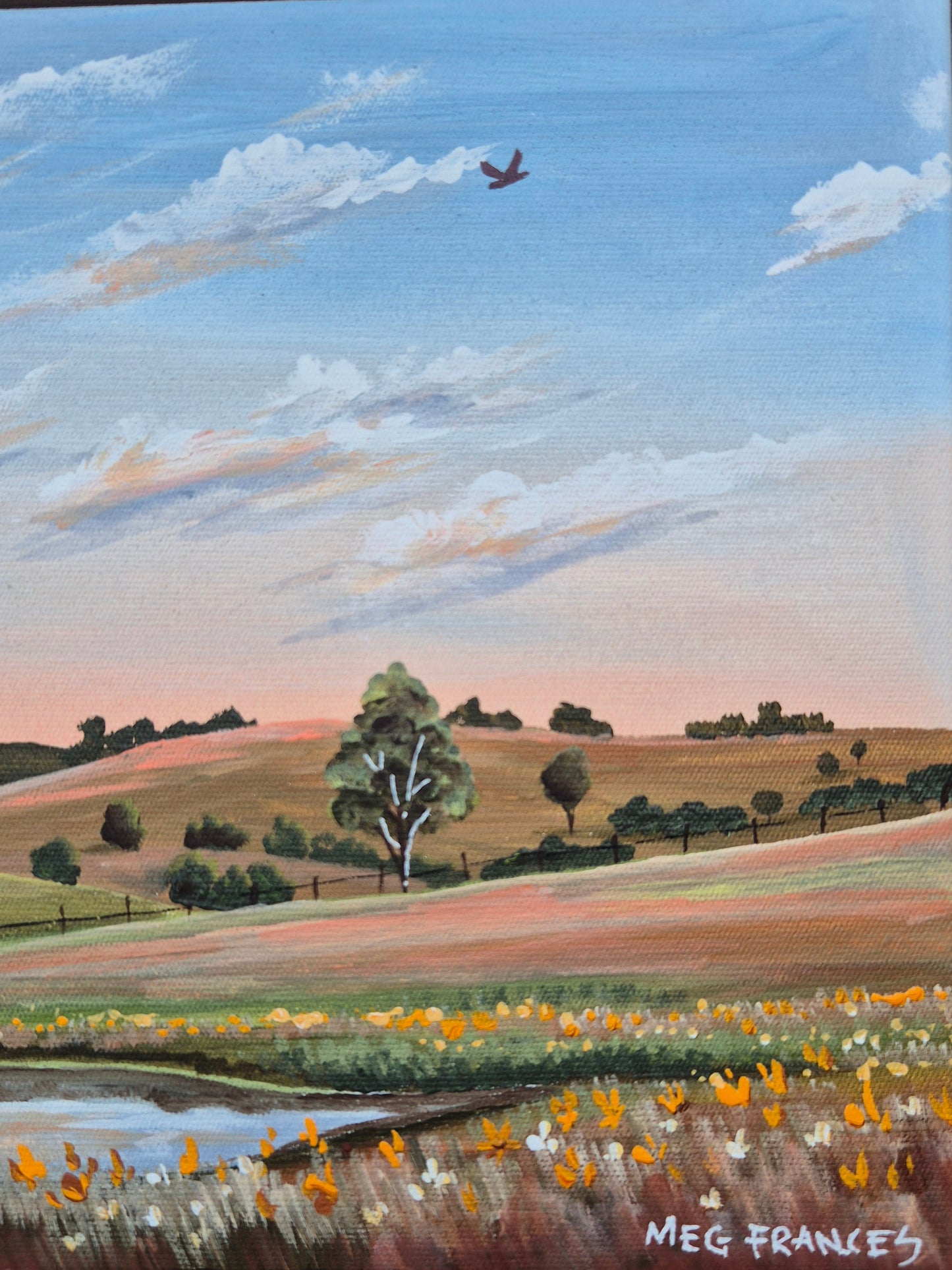 "Driving By" 30x20cm