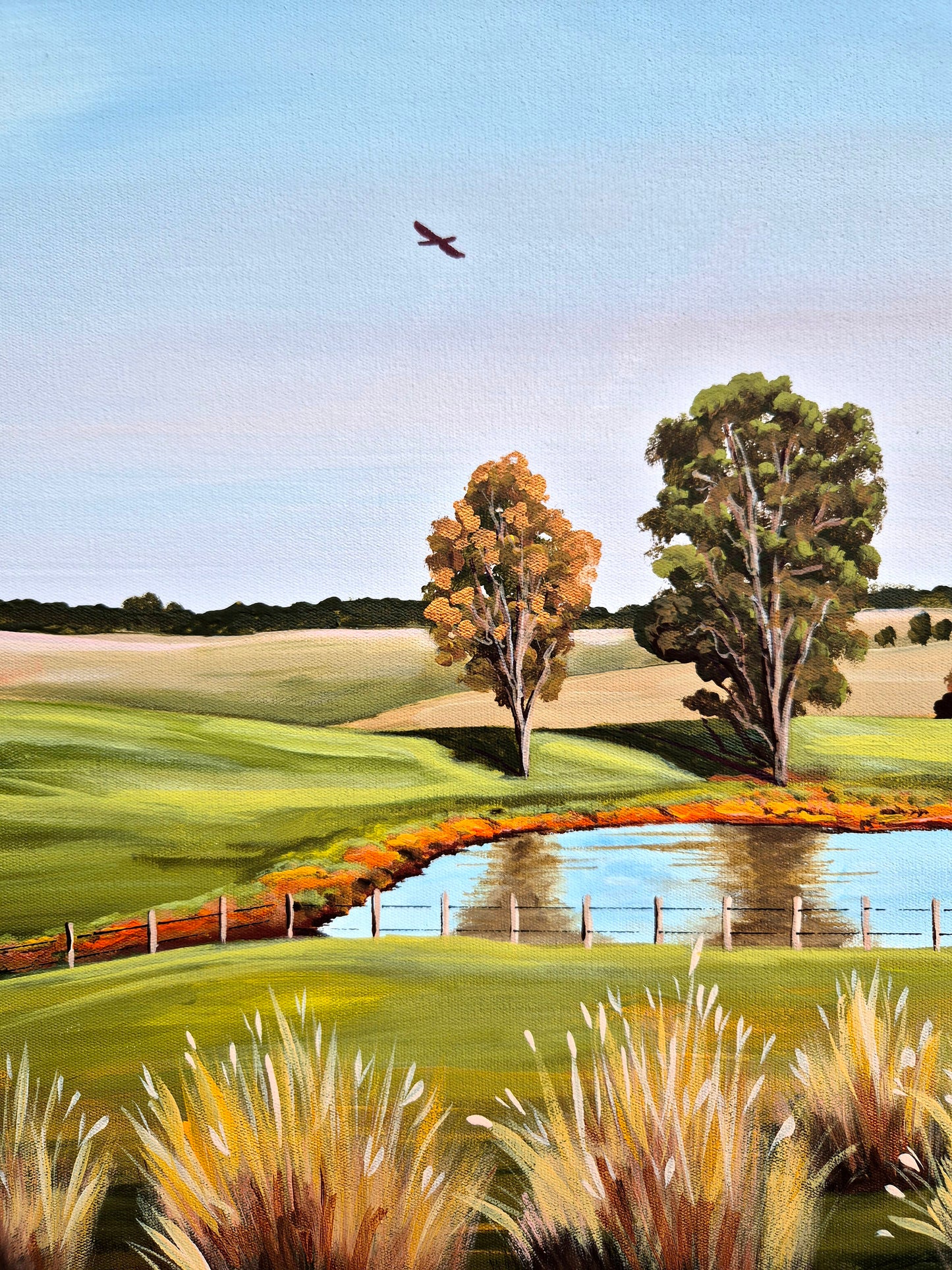 "The Afternoon Sun" 63x43cm