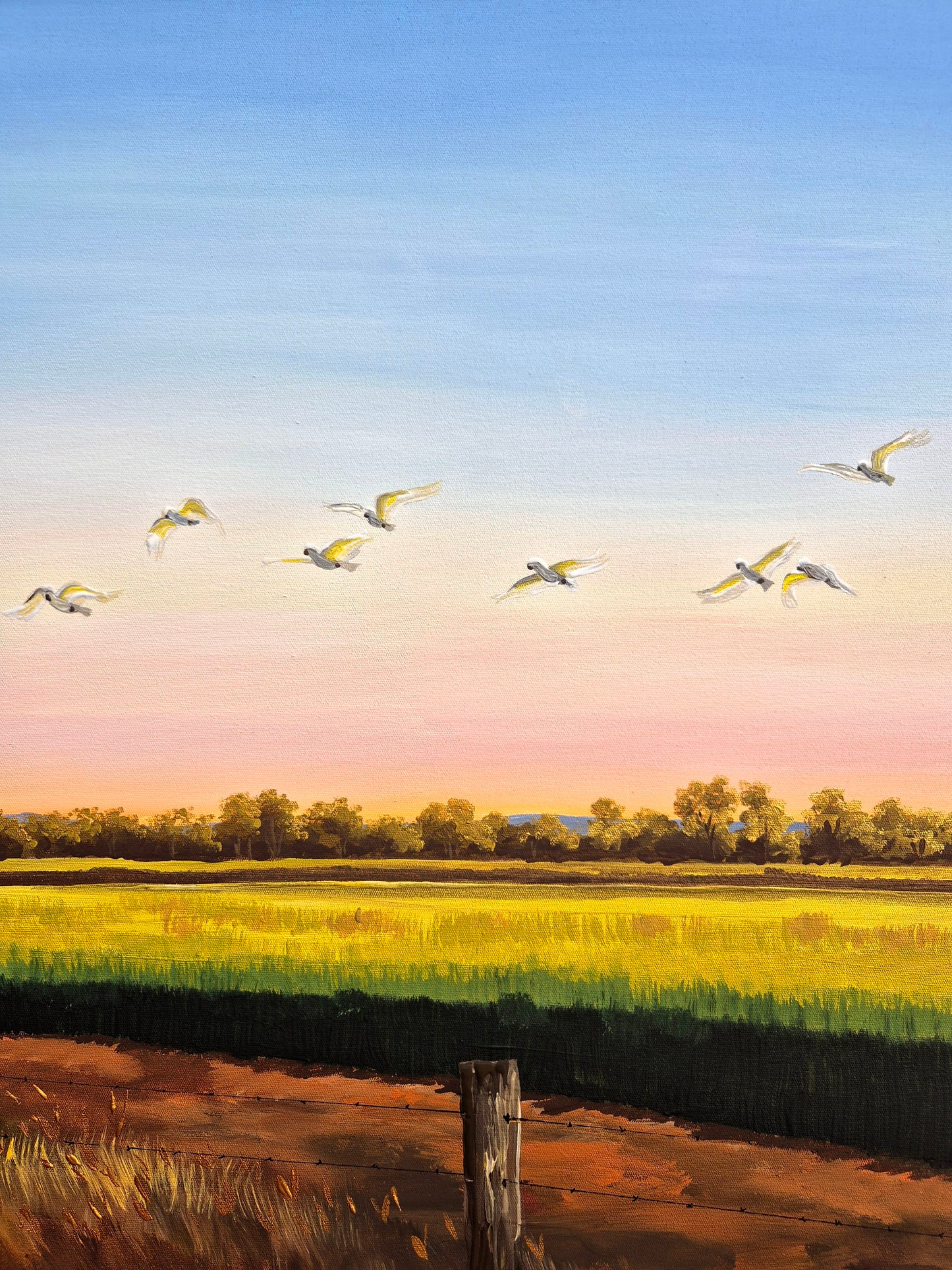 "Sunset over the Wheat" 103x63cm