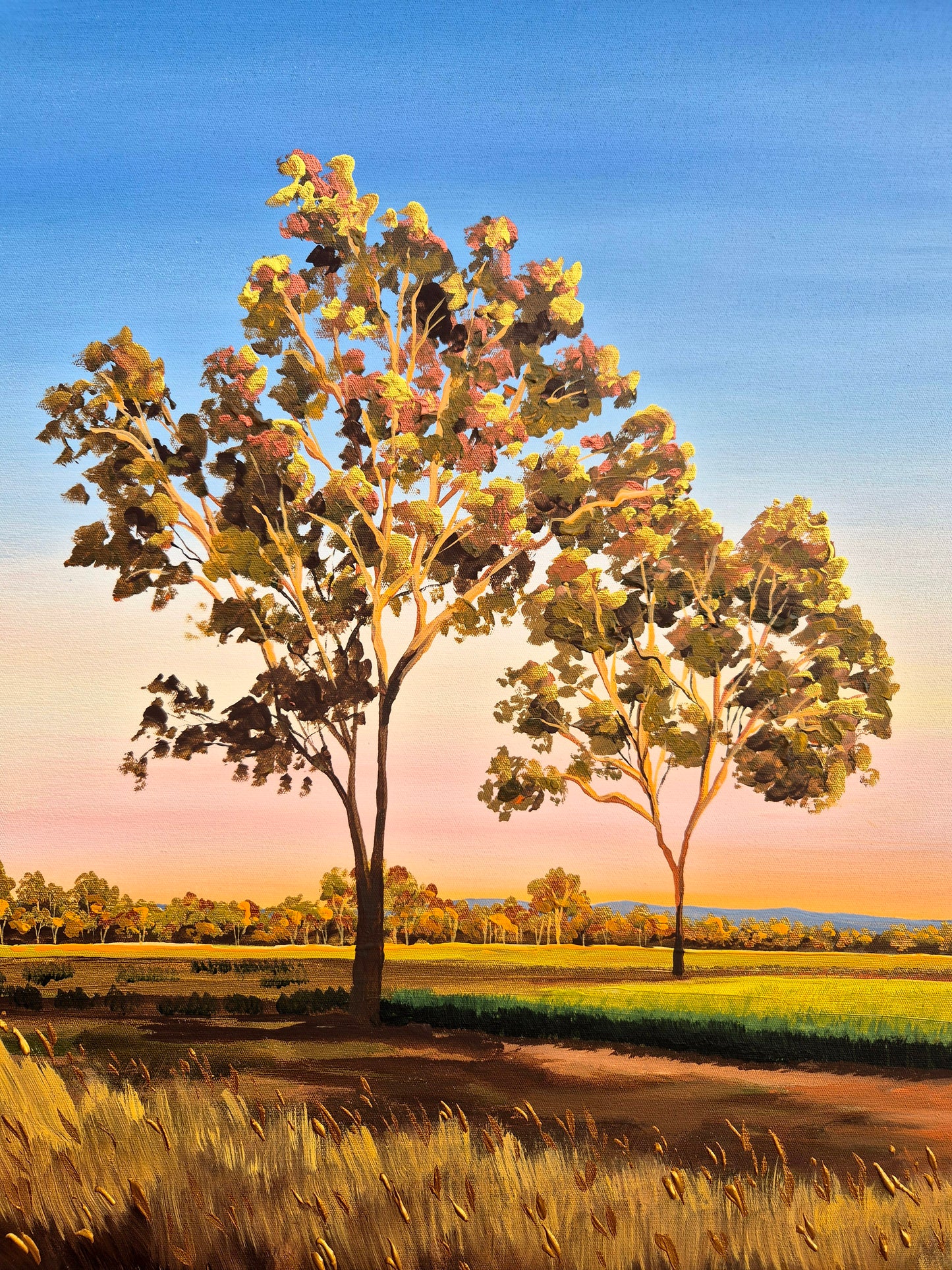 "Sunset over the Wheat" 103x63cm