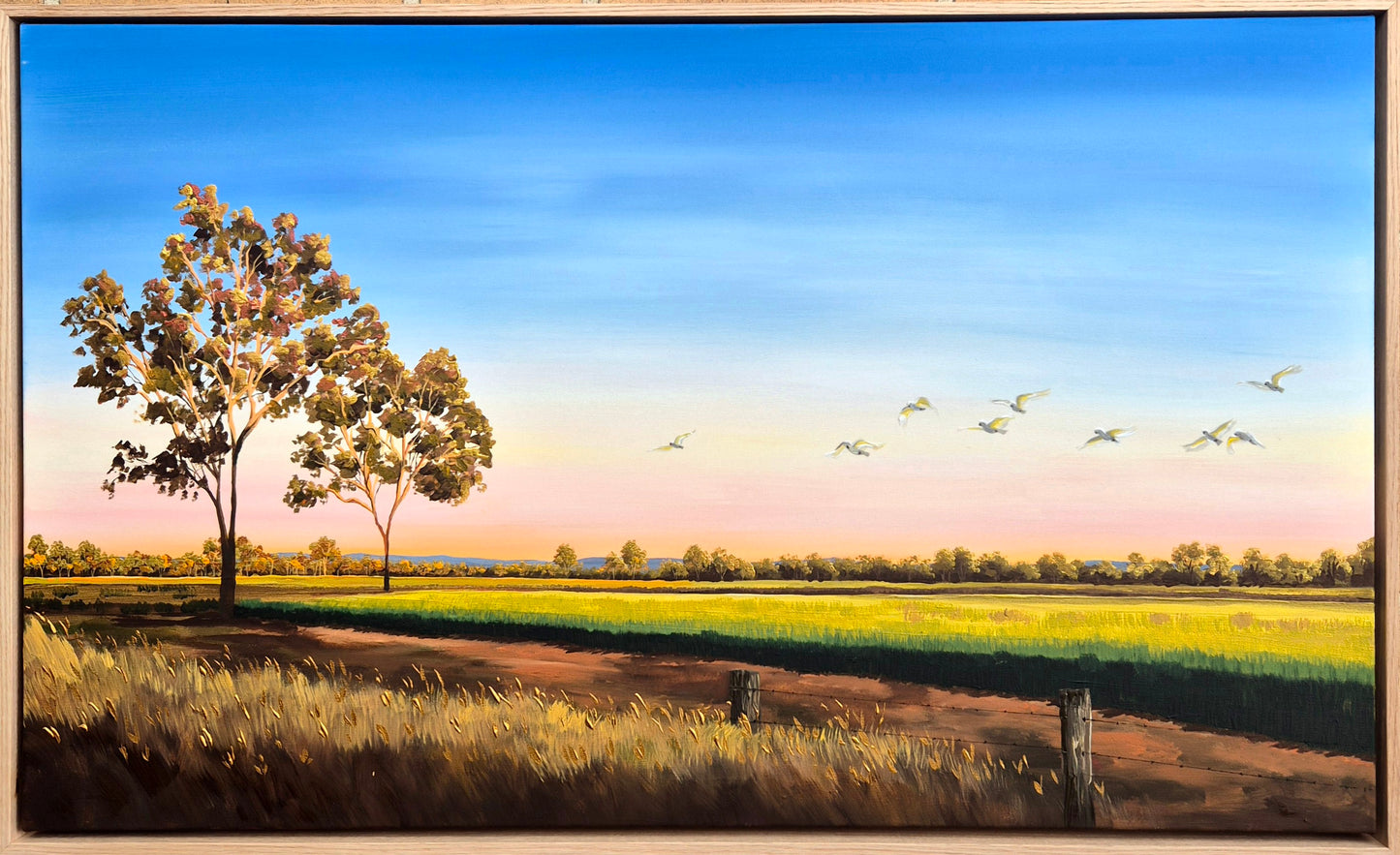 "Sunset over the Wheat" 103x63cm