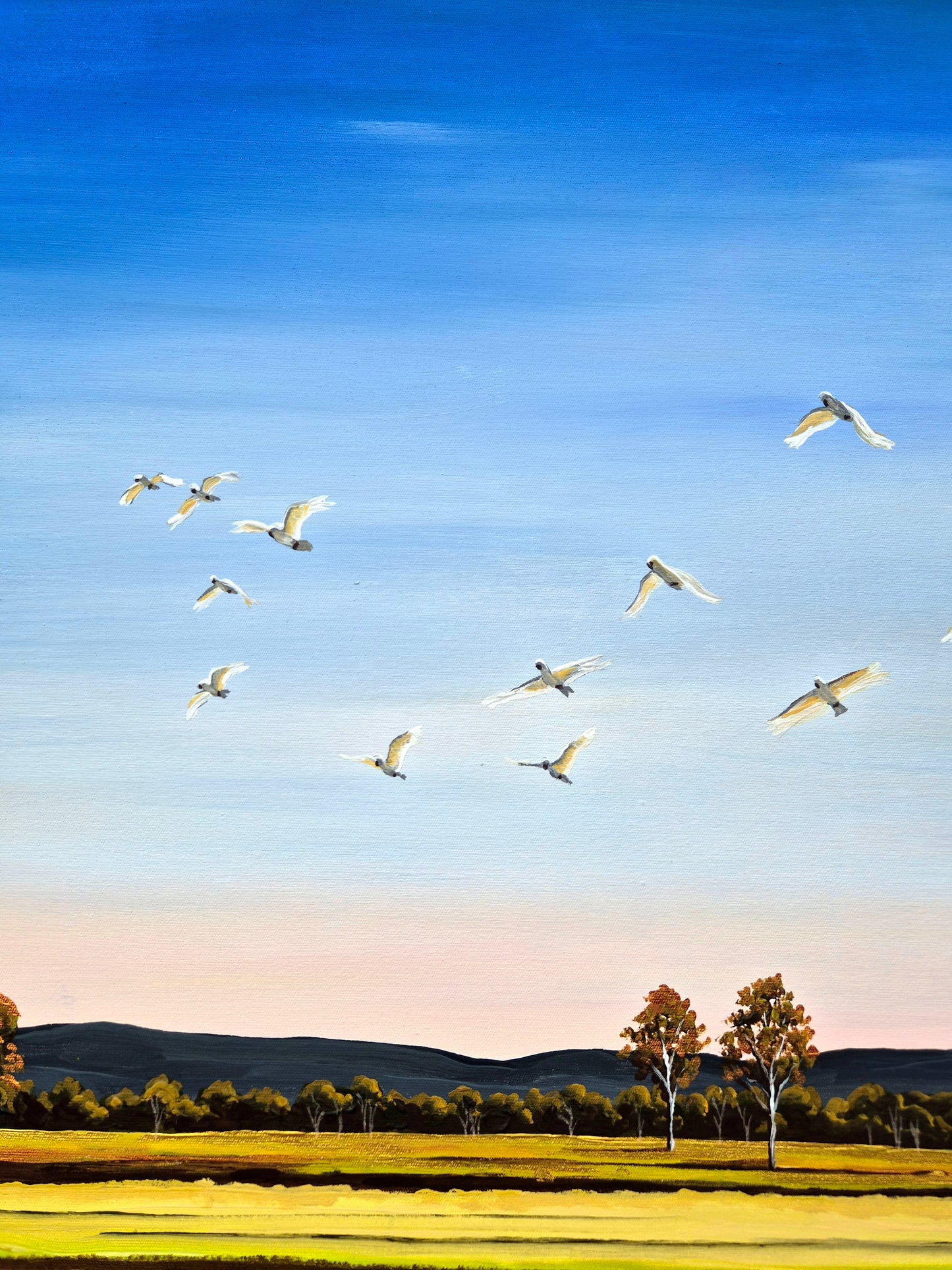 "Taking Flight" 79x64cm