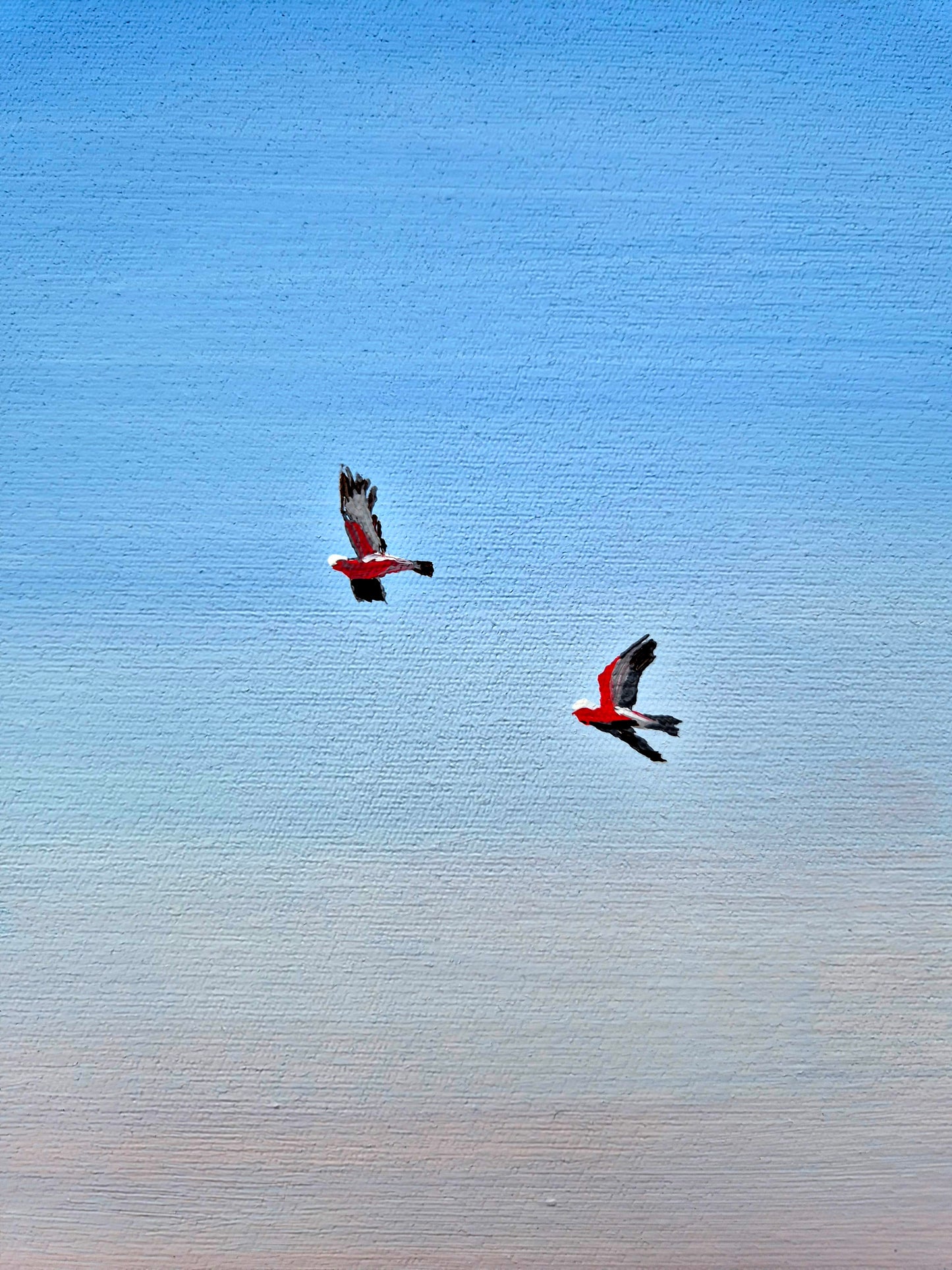 "Galahs on Dusk" 79x64cm