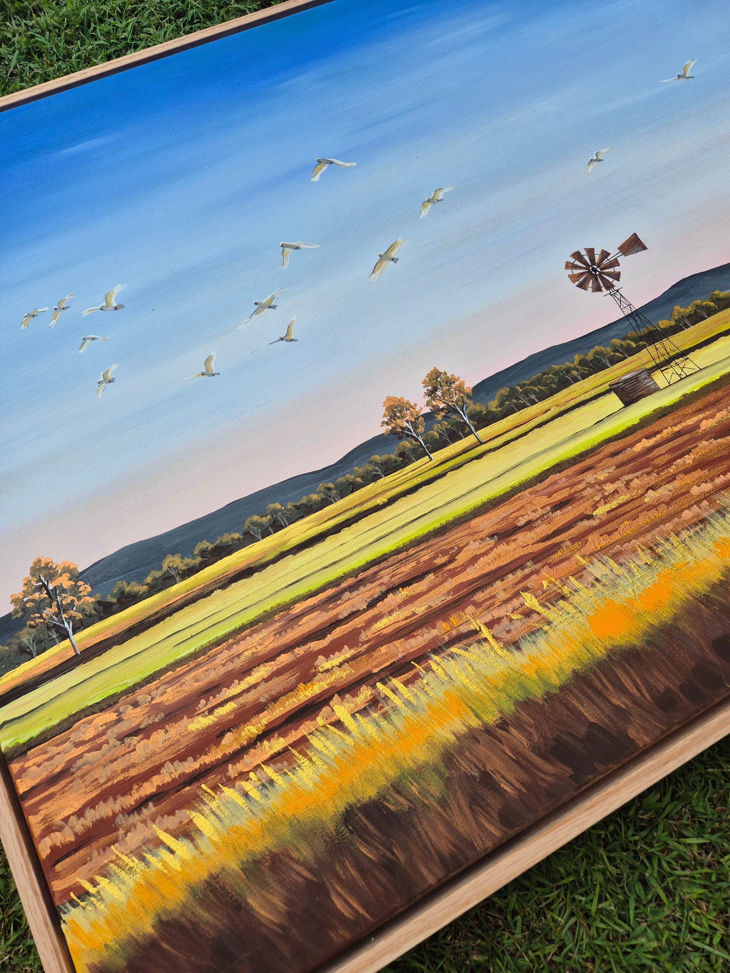 "Taking Flight" 79x64cm