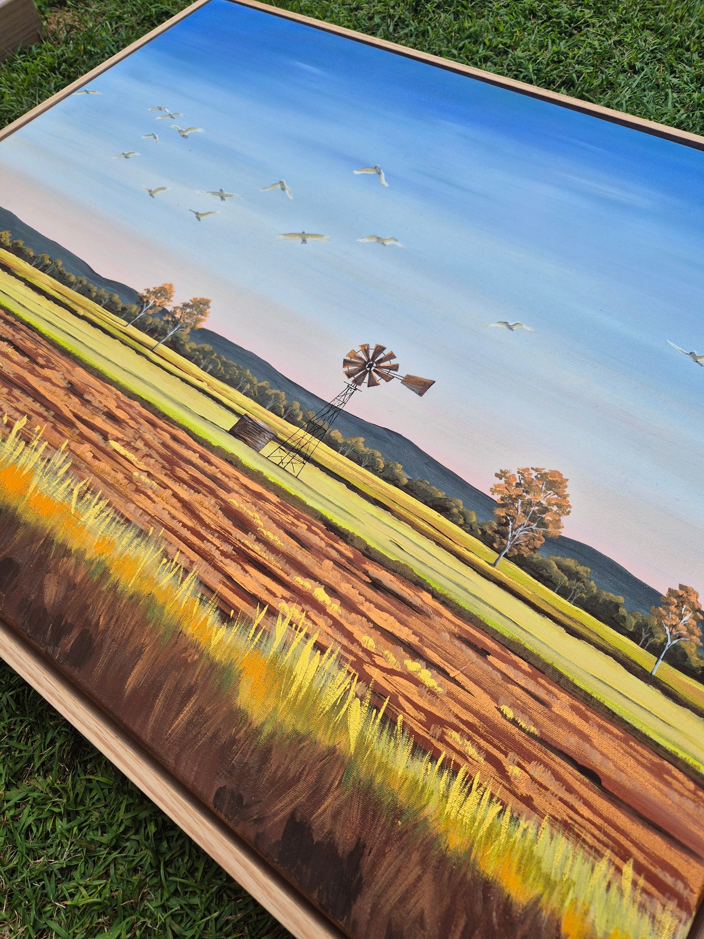 "Taking Flight" 79x64cm