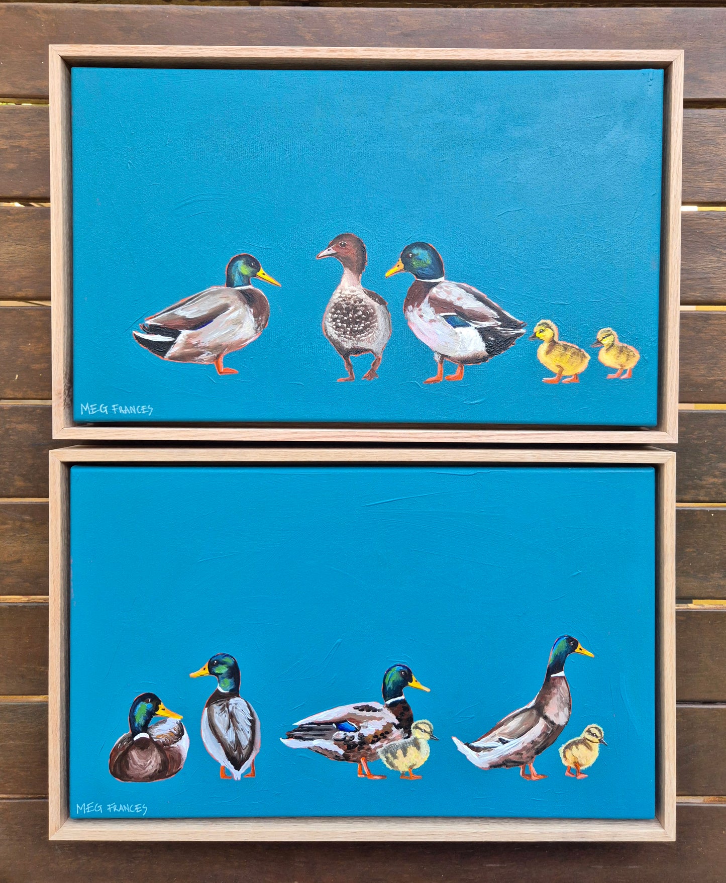 Feathered Friends 2 (50x30cm)