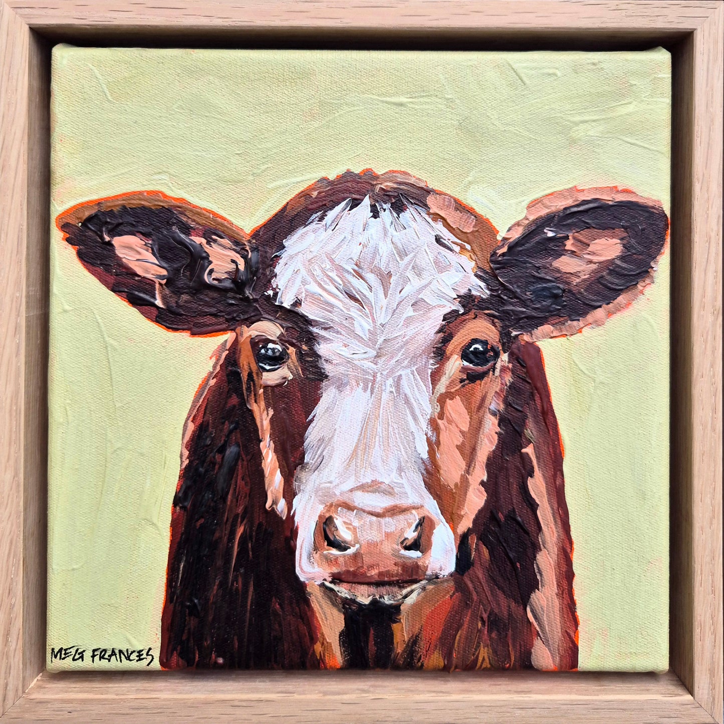 Hereford Calf (23x23cm)
