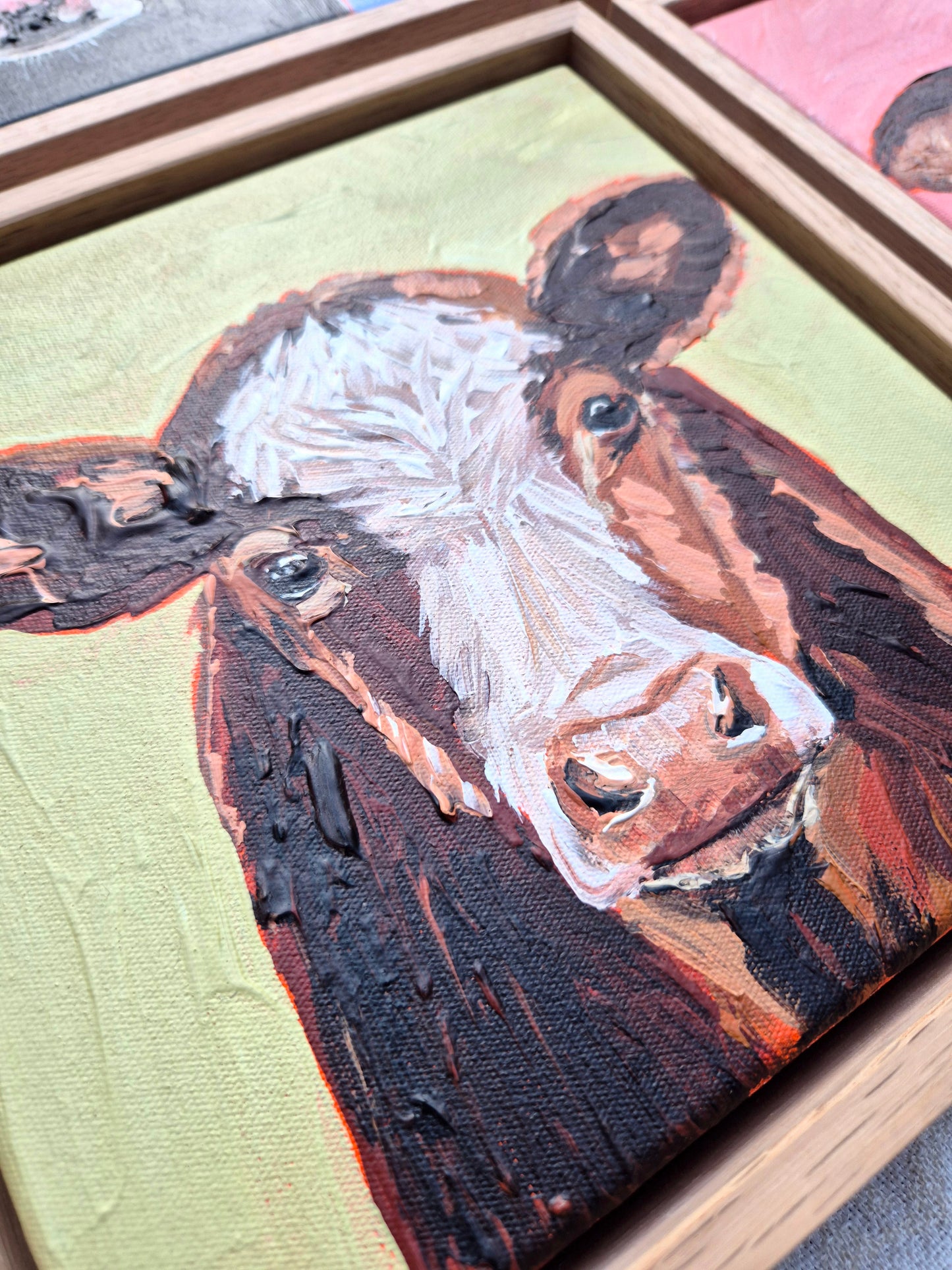 Hereford Calf (23x23cm)