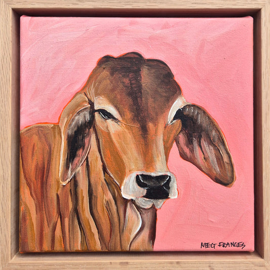 Brahman Beauty (23x23cm)