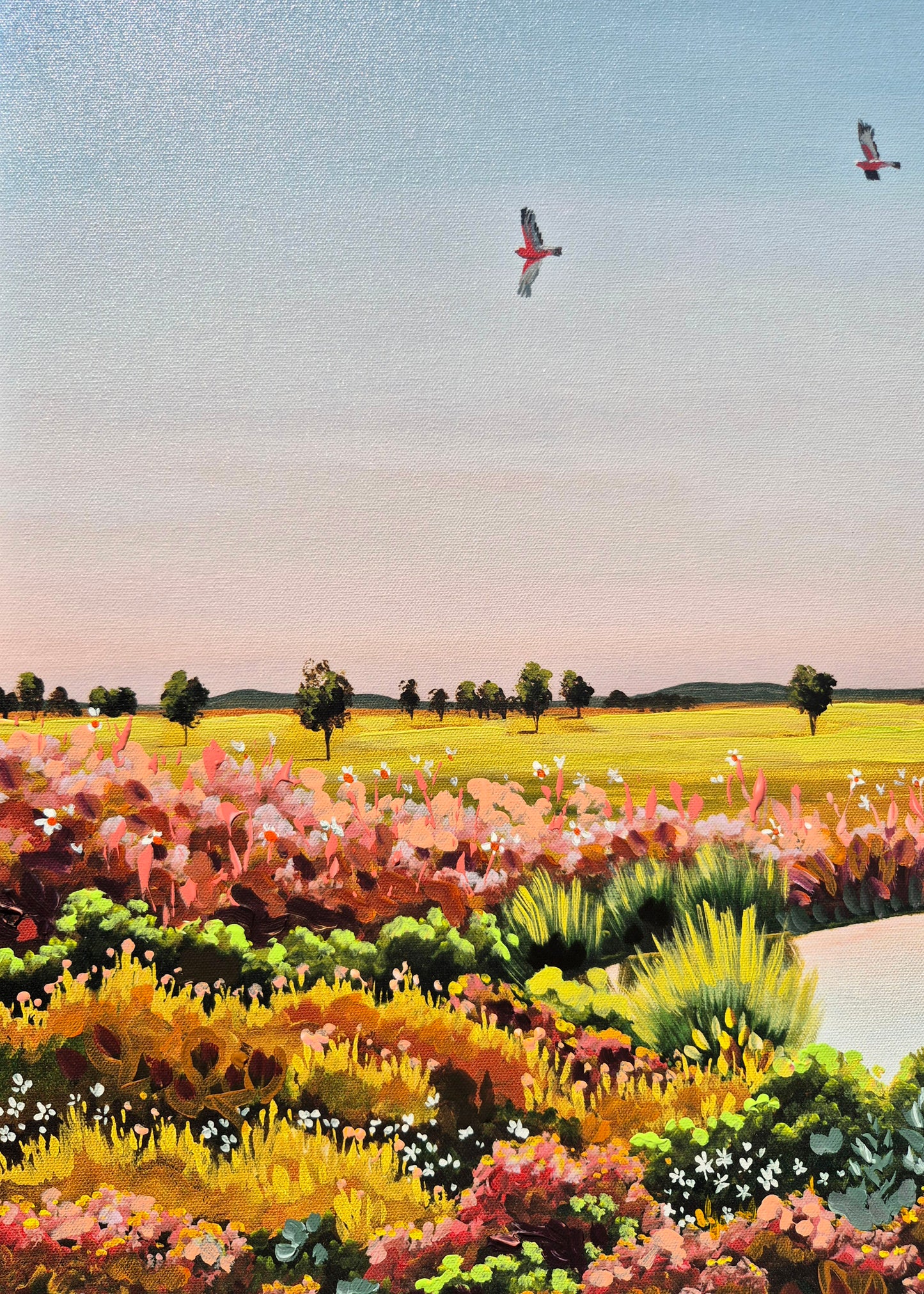 EMBELLISED CANVAS PRINT "Galahs on Dusk" 80x65cm