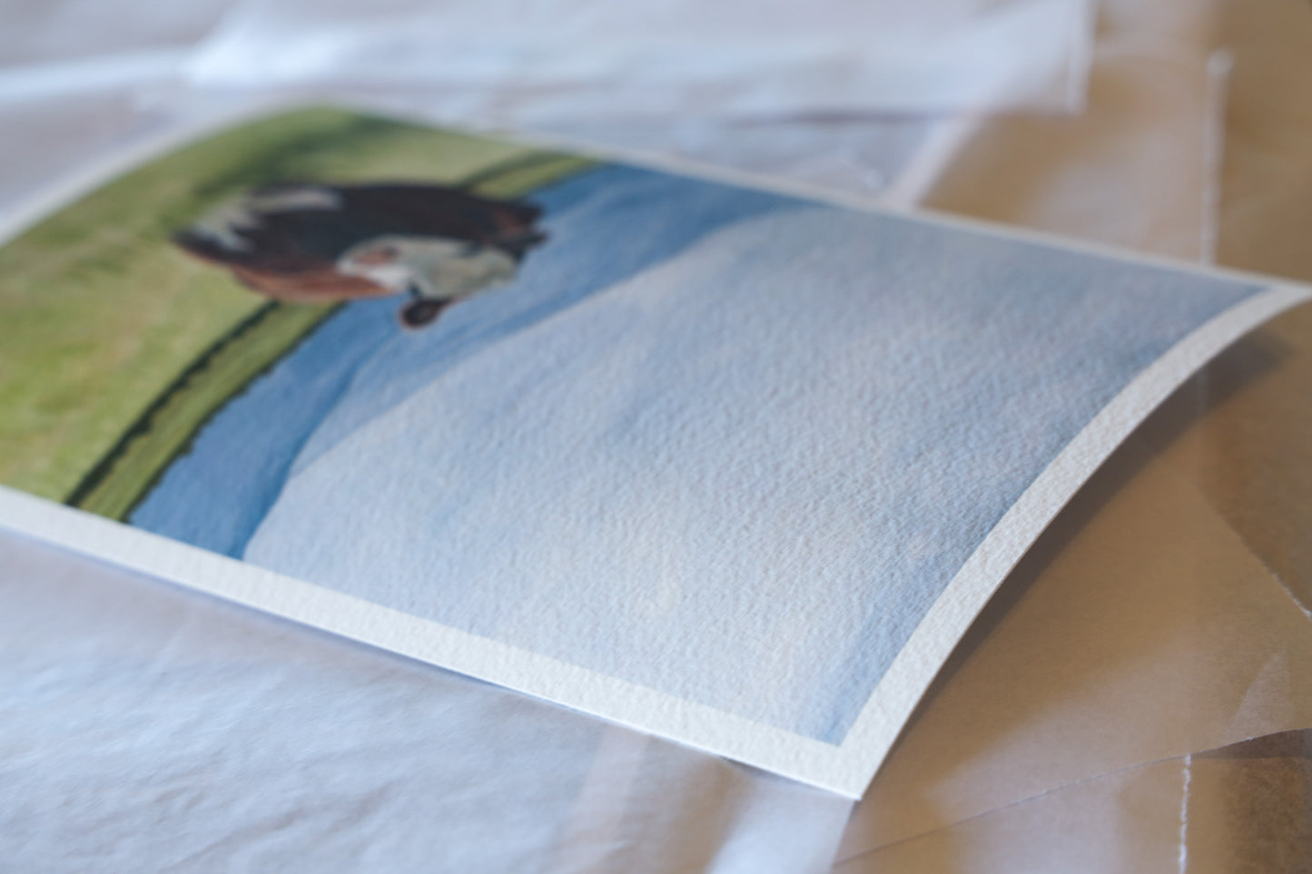'Sticky Beak' cotton rag paper print